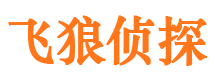 东兰侦探公司